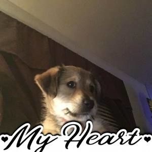 Meet your Posher, Carrie